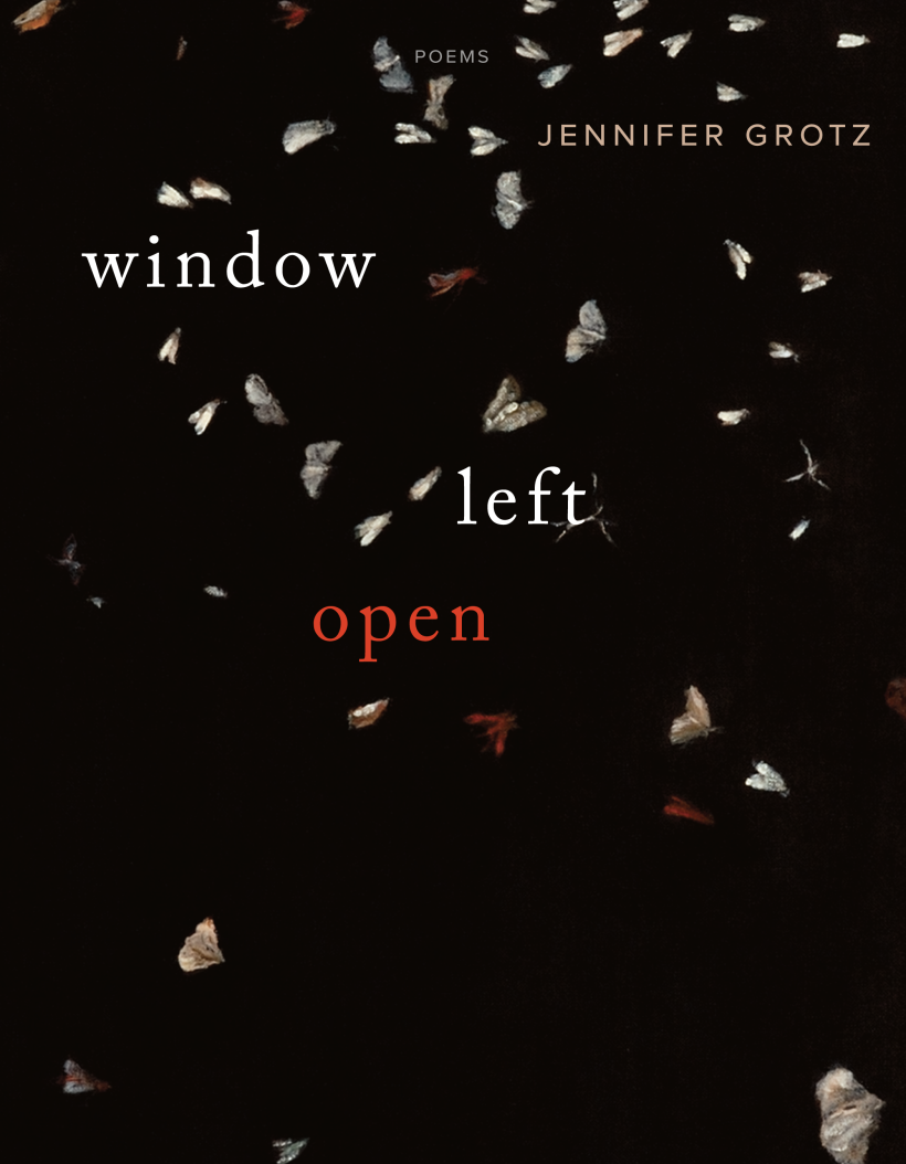 Grotz - Window left open cover