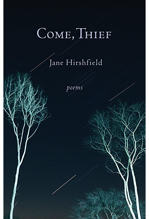 Hirshfield - Come, Thief cover